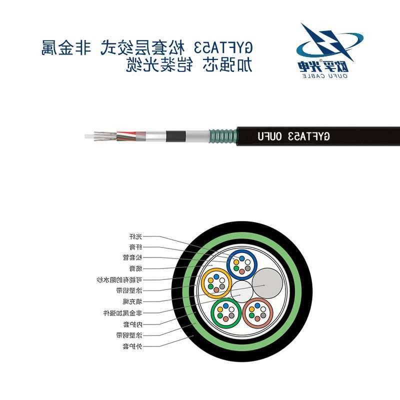 崇左市GYFTA53光缆